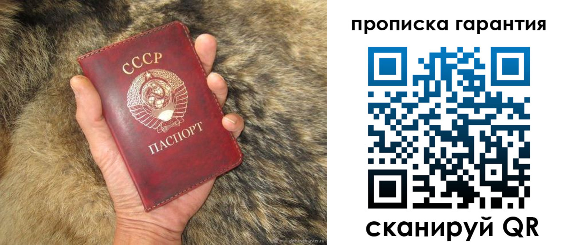 прописка паспорт в Новочебоксарске